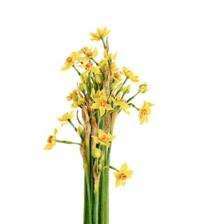 027
