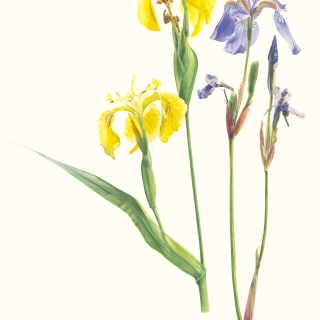 043
