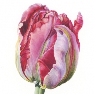 033