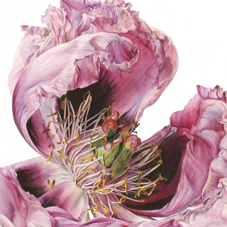034