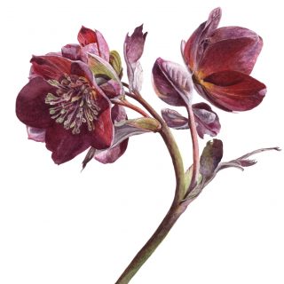 0545