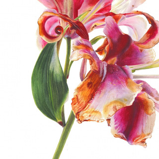 052